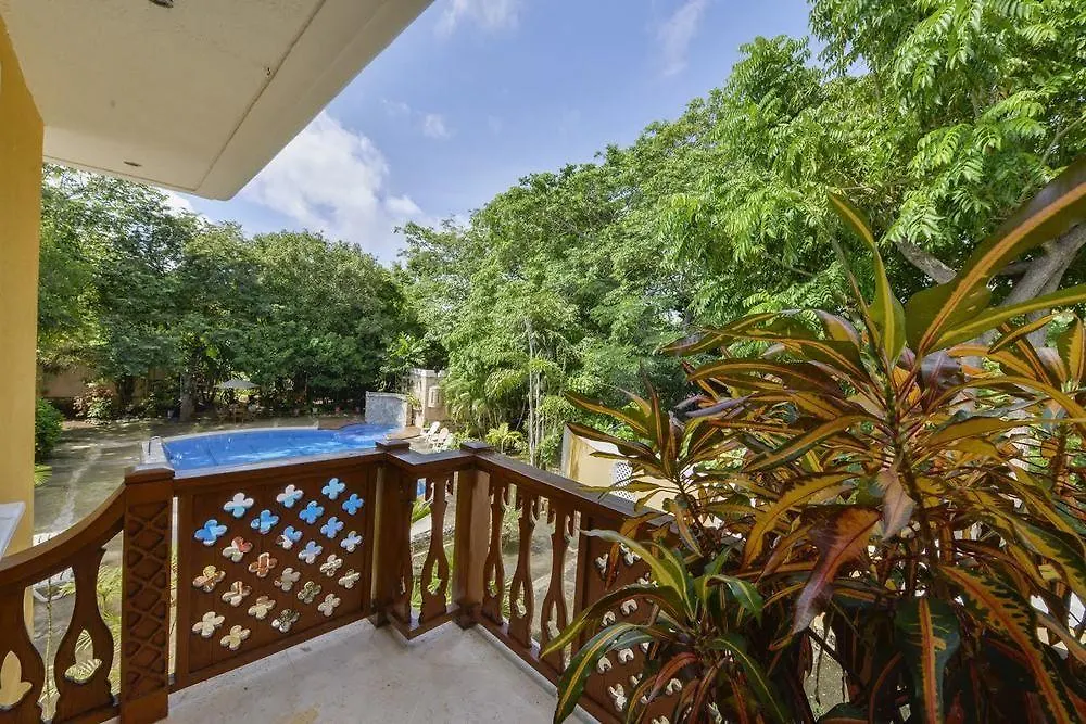 Casa Las Palmas Hotel Boutique San Andrés